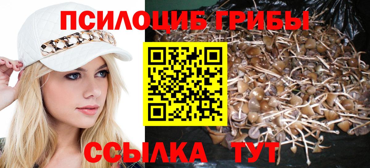 Псилоцибиновые грибы MAGIC MUSHROOMS  Балабаново 
